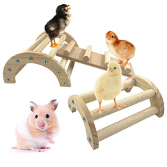 CooShou Chicken Perch Arch Bridge, sturdy wood for safe climbing and resting.