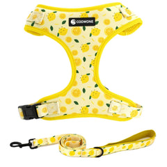 COOWONE dog harness front view with colorful pattern for lively daily walks