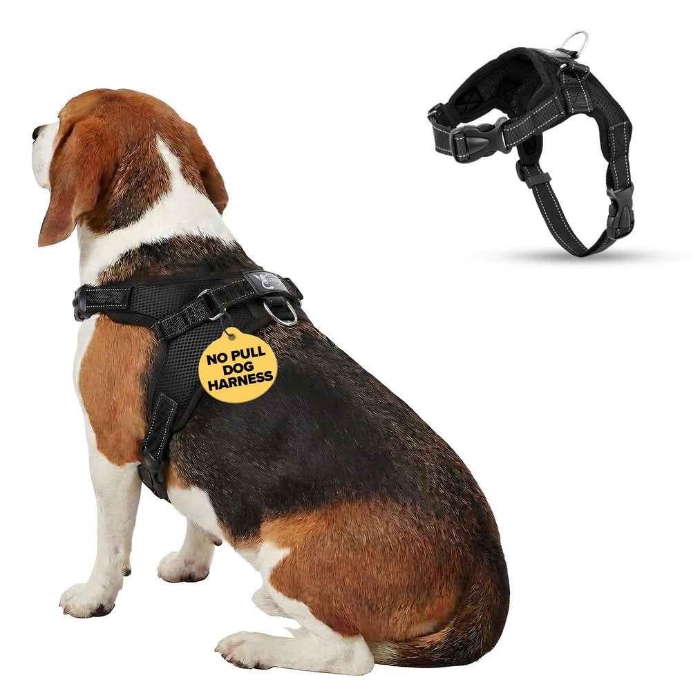 Copatchy No Pull Reflective Harness overview for comfortable daily walks.