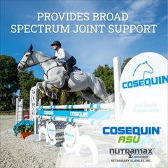 Cosequin ASU label closeup highlights ASU and glucosamine for joint support
