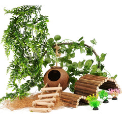 COSOC coconut hut for crested geckos provides a secure hideaway and enrichment.