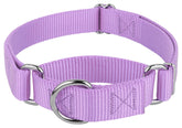 Country Brook Petz martingale collar no buckle design for easy on daily wear.