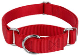 Country Brook Petz martingale collar closeup nylon webbing for durable daily wear