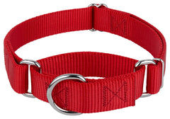 Country Brook Petz martingale collar closeup nylon webbing for durable daily wear