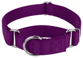 Country Brook Petz martingale collar no-buckle close-up for easy head entry.