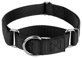 Country Brook Petz martingale collar no buckle overhead view for easy wear.