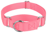 Country Brook Petz martingale collar pink 1inch medium on dog for gentle control