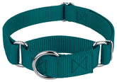 Country Brook Petz martingale-collar-teal-1inch secures medium dogs with comfortable slip-on design