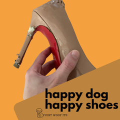 Cowdog Chews Beef Bully Stick long-lasting chew supports calm chewing sessions