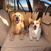 Cozila dog car seat cover on back seat with hard bottom provides secure space for large dogs.