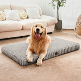 Cozila orthopedic dog bed with soft short plush surface offers cozy lounging and joint-friendly support.