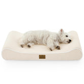 COZY KISS orthopedic dog bed beige boat-shaped front view with supportive edges for joints
