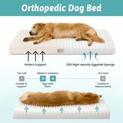 Cozy Kiss orthopedic-foam bed side view showing high-density support.