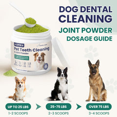 CPFK Joint Supplement for Dogs featuring glucosamine-chondroitin supports mobility during daily activities.