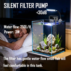 Craftsboys nano glass aquarium with filter for easy maintenance.