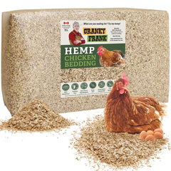 Cranky Frank Hemp highly absorbent chicken bedding keeps the coop dry.