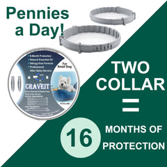 Craveit flea collar with secure buckle detail on neck.