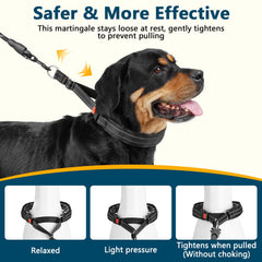 Crazy Felix No Pull Martingale Collar close-up reveals quick-release buckle and safety lock.