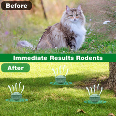 Crobirware spray guards garden beds and plants from cats.
