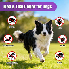 Crobirware natural formula collar with plant oils for gentle scent.