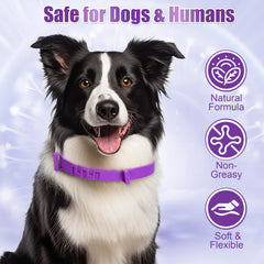 Crobirware waterproof dog collar suitable for beach and swimming.