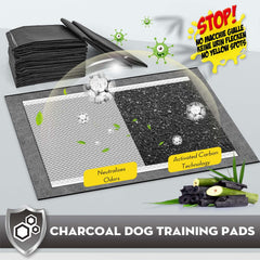 Croci charcoal puppy pads with activated carbon trap odors during training.