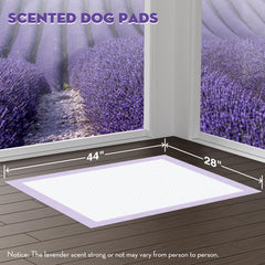 Croci pads with adhesive tabs securely hold pad to floors.