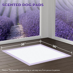 Croci pad adhesive tabs secure pad to floor or wall
