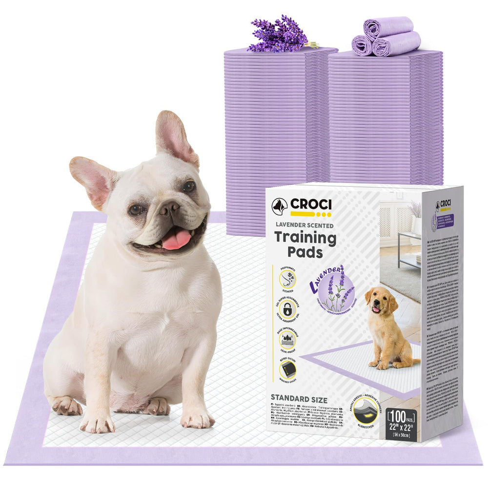 Croci puppy pads with adhesive tabs secure to floor for mess-free training.