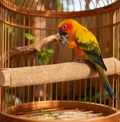 CuaxTume perch covers installed in a cage reduce maintenance for owners