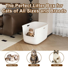 Cuddpaw jumbo size allows 2-3 cats to share space comfortably.