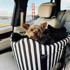 Cullaby dog car seat with safety belt helps keep puppies safely in place
