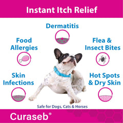 Curaseb hydrocortisone spray applied to a dog's hotspot for relief.