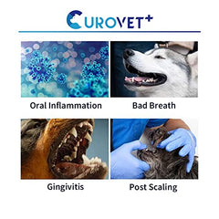 CUROVET MucoMax gel being applied with cotton bud for precise care.