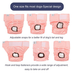 CuteBone leg-elastic adjustment ensures a comfortable, secure size for many breeds