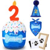 Cutecrop dog 2nd birthday hat with sequins adds festive shine.