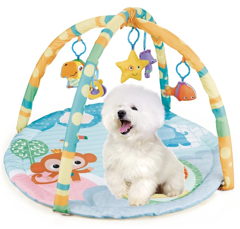 Cutie Patootie Playhouse puppy play gym with squeaky toys for engaging playtime