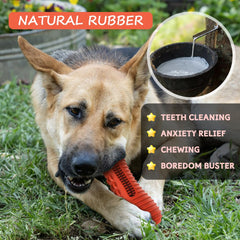 Cutiful gator dog toy ridges and bristles aid cleaning