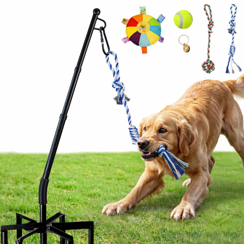 CWV outdoor tug pole assembly adjustable height for versatile dog play