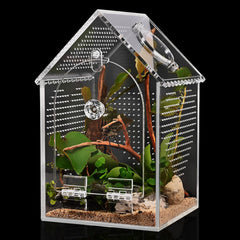 Cycodo Jumping Spider Enclosure front view shows clear acrylic for easy observation.