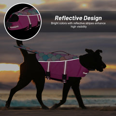 Cyeollo Quick-Release Buckles for easy on off during outdoor water activities