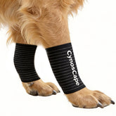 CynosCape dog leg brace front view with adjustable strap for secure front leg support.