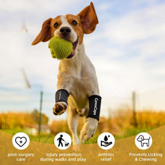 CynosCape dog leg brace rear view showing stable rear leg support during activity.