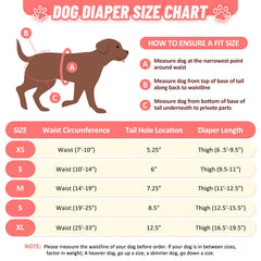 CZMIYRPY washable dog diapers heat-ready with white lining for visibility.