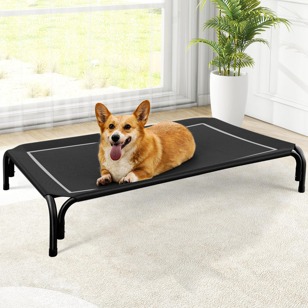 Czpalo elevated dog bed assembly view showing a sturdy frame for indoor and outdoor use