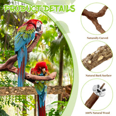 CZWESTC prickly ash stick 7.9in offers textured chewing surface.