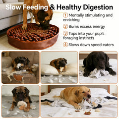 Durable webbing resists tearing for long-lasting enrichment.