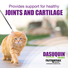 Dasuquin cat ingredients glucosamine for joint mobility