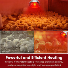 DaToo red glow heat lamp minimizes disturbance to chicks' circadian rhythm during care.