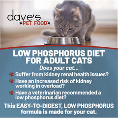 Dave's Pet Food Kidney Support Stew tin packaging highlights a low phosphorus recipe.